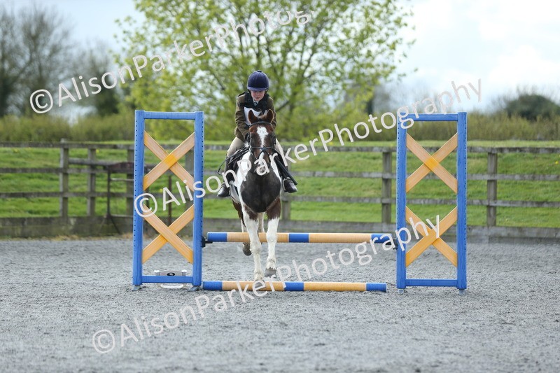 20260412-1729 - Show Jumping