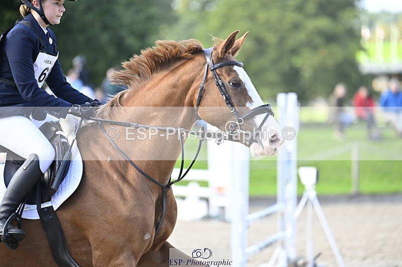 251005A-144443-04564 - Cls 09 Nov 80-85cm