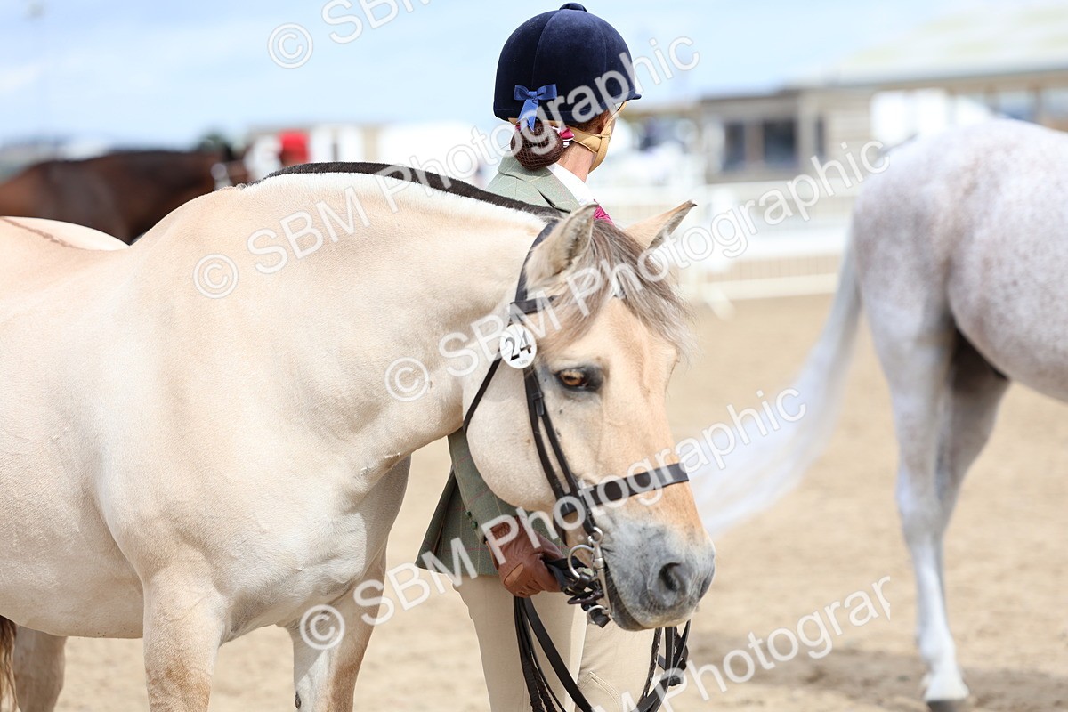 SBM_03986 - Class 25 - IH Foreign Breeds - Pure Bred