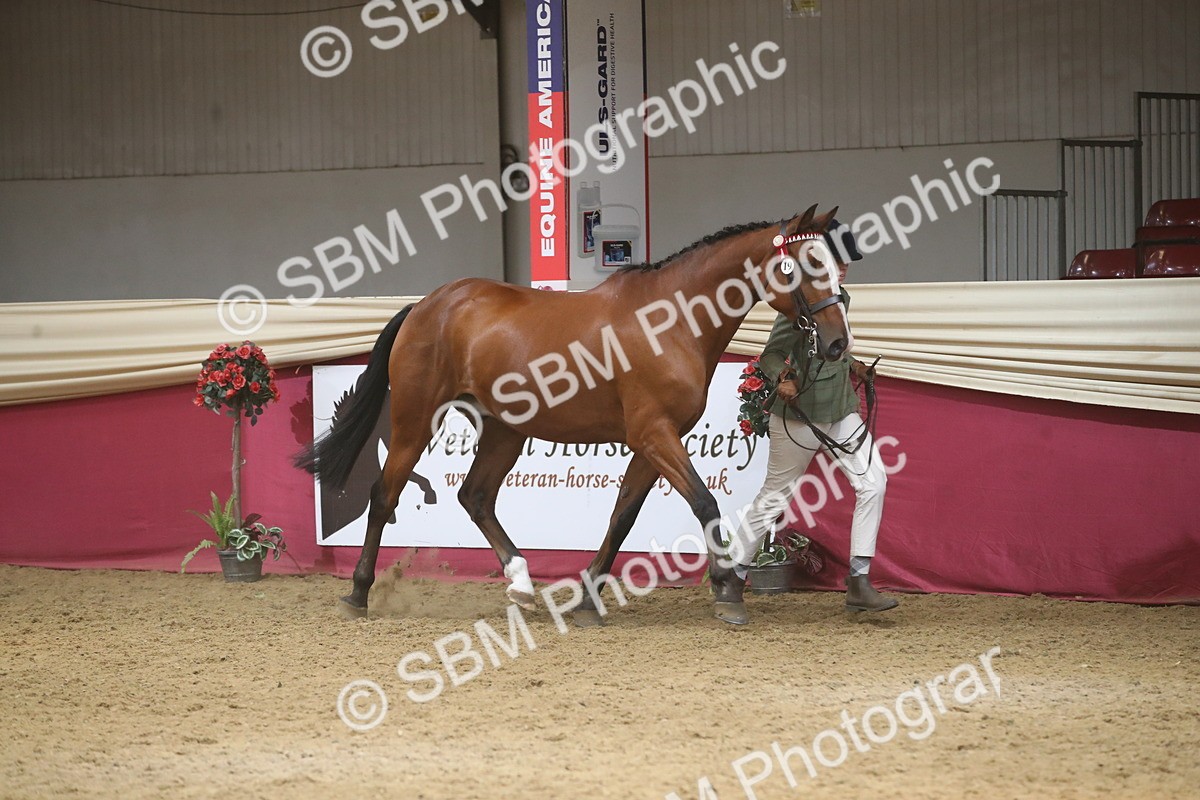 SBM_05502 - Class 9R - Regional IH Pre-Vet