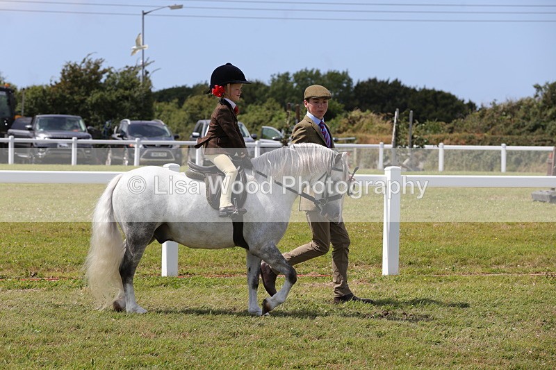 1X9A5102 - Class 36: NPS M&M Lead Rein