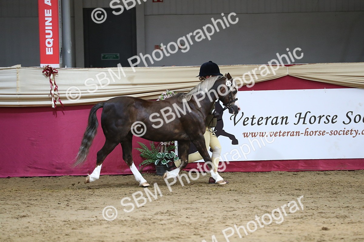 SBM_06532 - Regional IH Champ