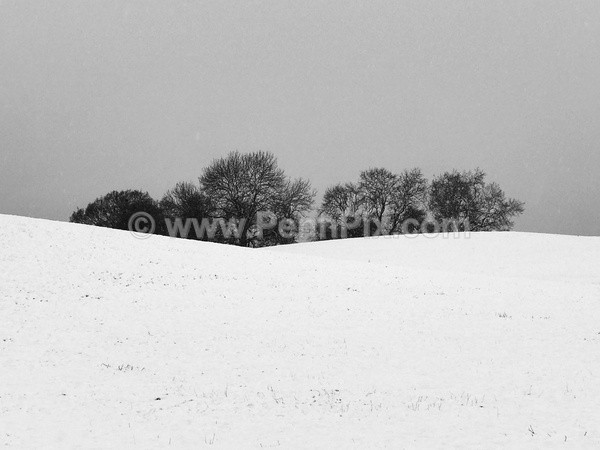  - Recent Images - by Matt Pennington