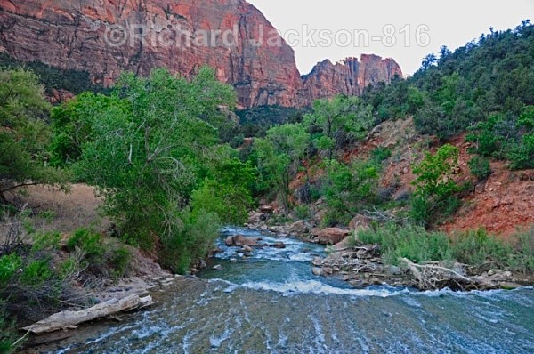 IMG: 0405 - Zion National Park