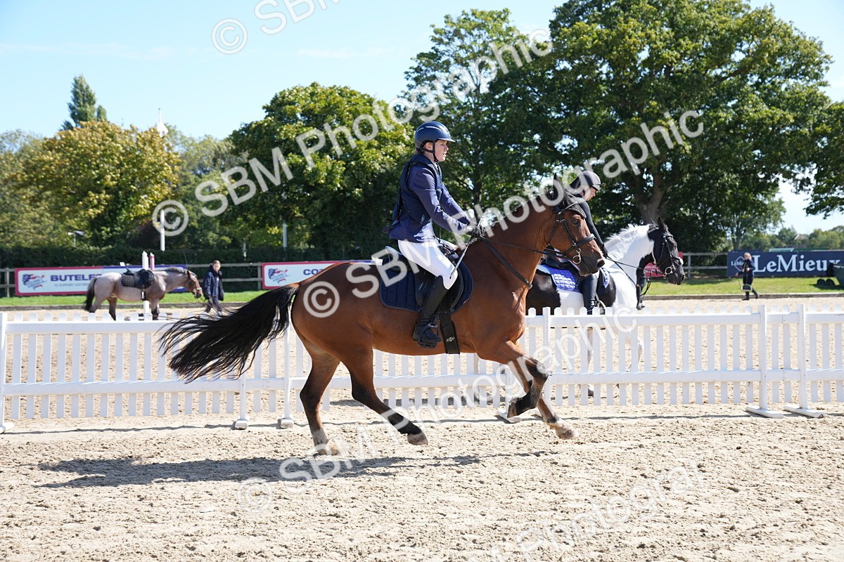 SBM_04946 - J56 - Clear Round 70cm