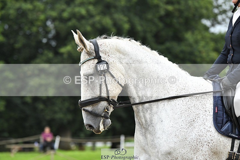 230812-091542-02748 - Cls 6 Novice Silver Start to 10.20 break