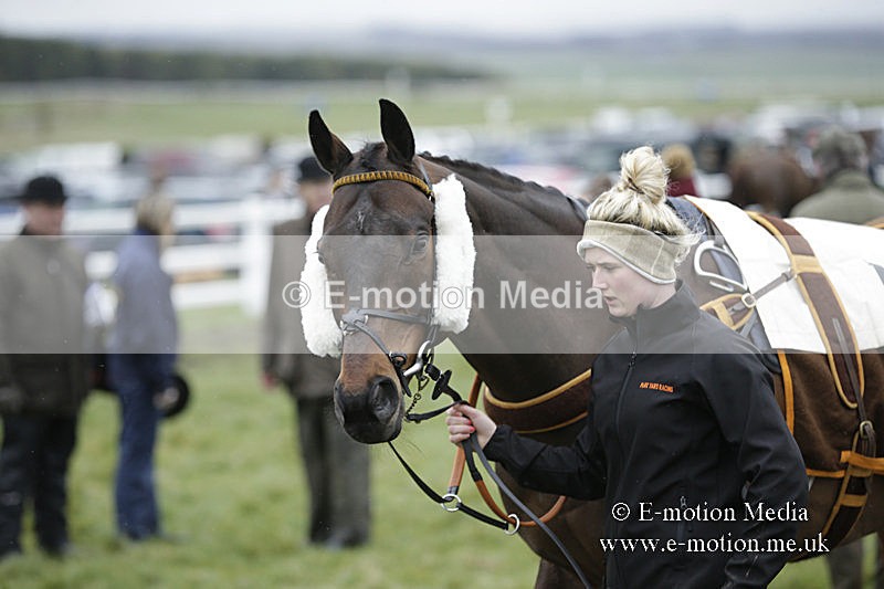 PtP 150320 0250 - New Forest Point-to-Point Larkhill 15/03/20
