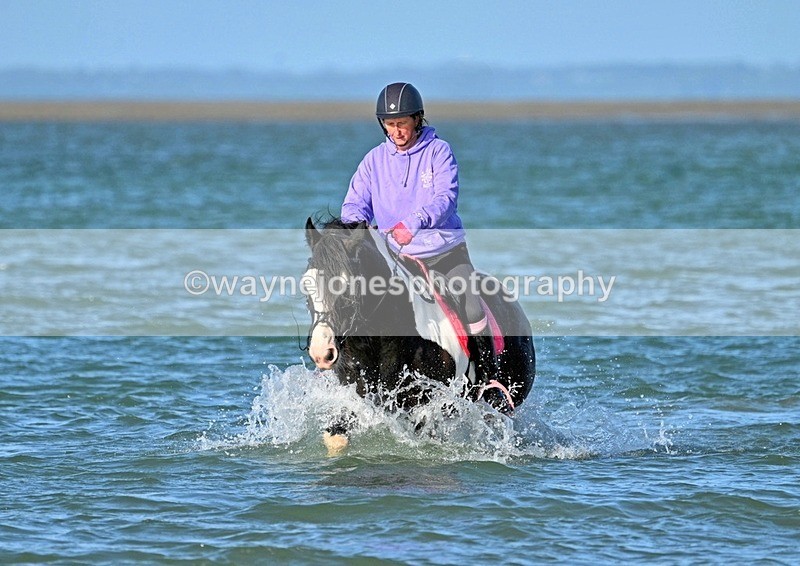 WJ7_3376_1 - Kellie & Churchill ... do Hayling Island 25-08-24
