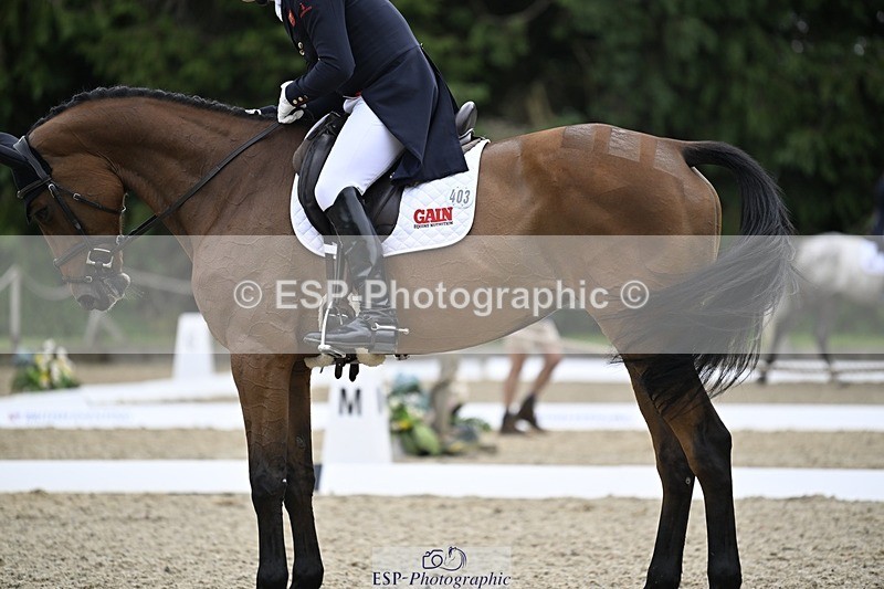 000101-220258-04518 - 403-CRAZY_DU_LOIR-Oliver_Townend