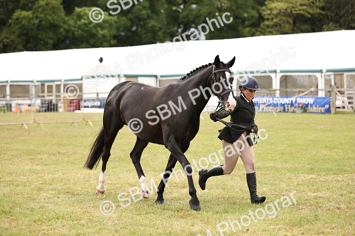 SBM_14611 - Class 88-89 - LIHS BSHA Rising Star of Ridden Hunter Type