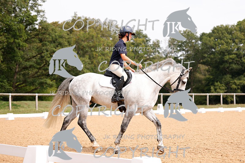 _R6A2795 - Dressage Morning