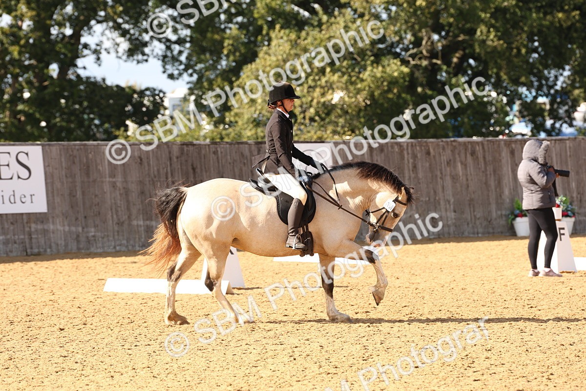 SBM_50404 - D12 - Small Tour Championship prelim 2