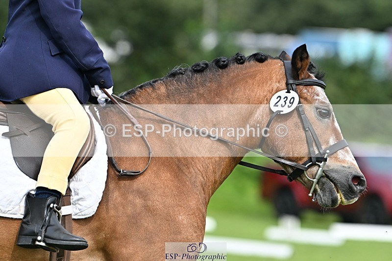 230826-103144-16562 - Sections A & B 10 to End