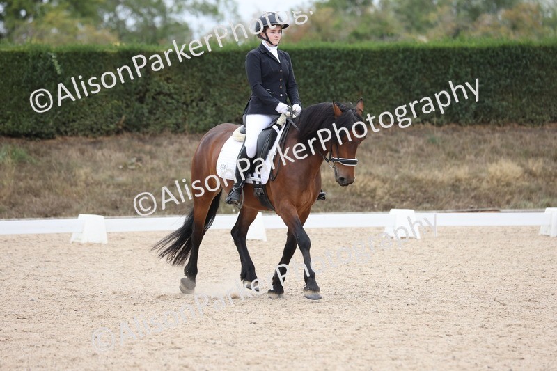 20250820-1214 - Class 18 - Elementary 5