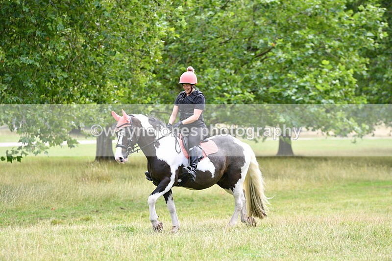 WJ5_2347 - Time at Jump 14:02 to 14:46