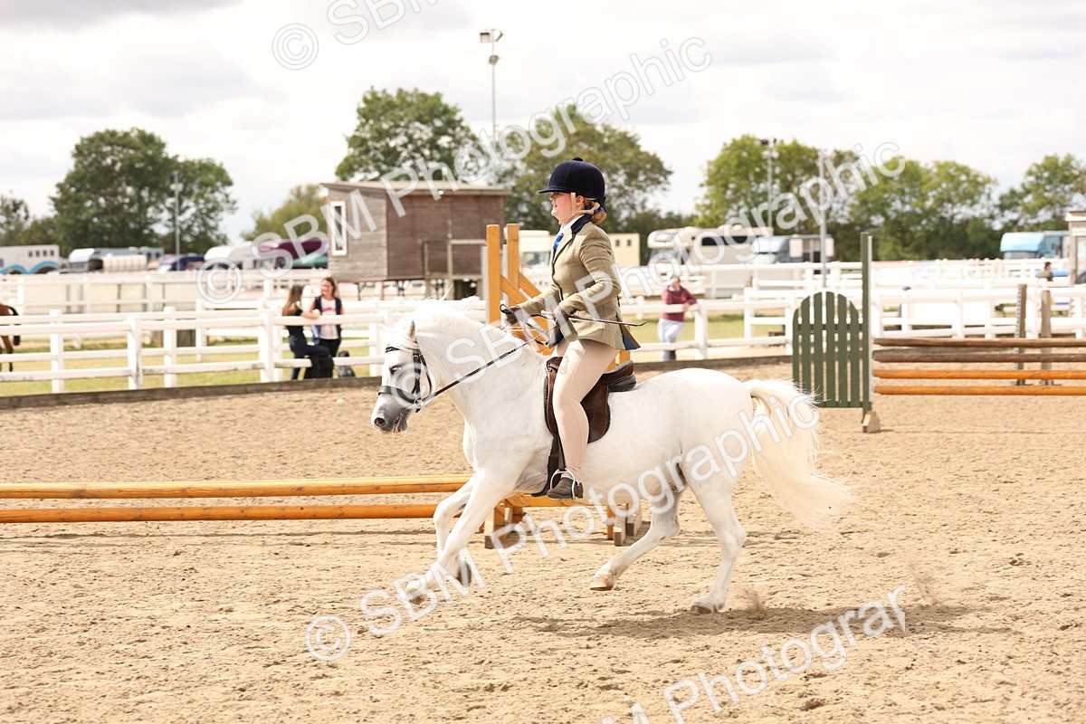 SBM_05192 - Class 56b -  Style & Performance - 50cm (20+)