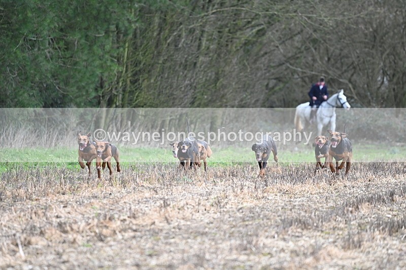 WJ6_9414 - Line Four