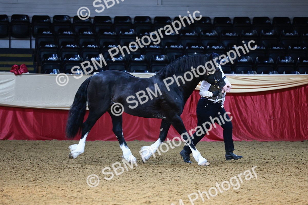 SBM_22173 - Class 902 - Supreme Final - IH Diamond