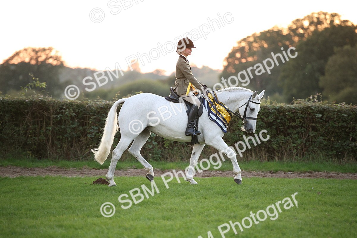 SBM_57124 - Super Supreme Championship