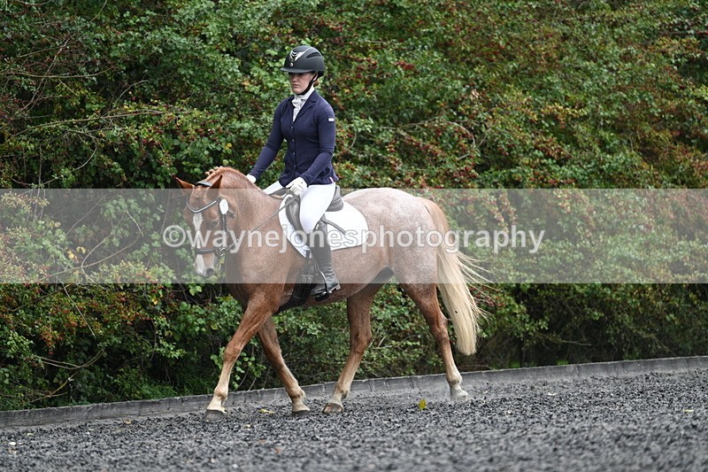 WJ7_3677 - Time 11:04 to 11:38