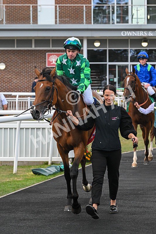 080825-Race 5-Paddy The Squire-2745 - Race 5