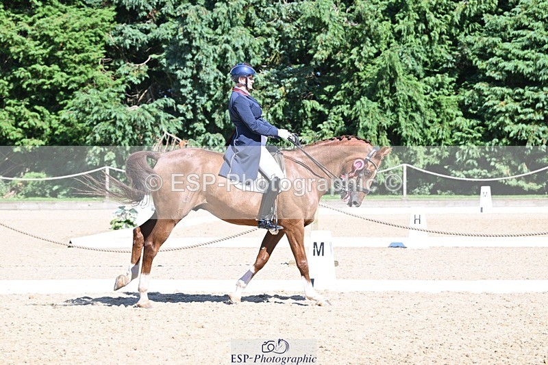 240811-154527-06836 - Inter I Silver