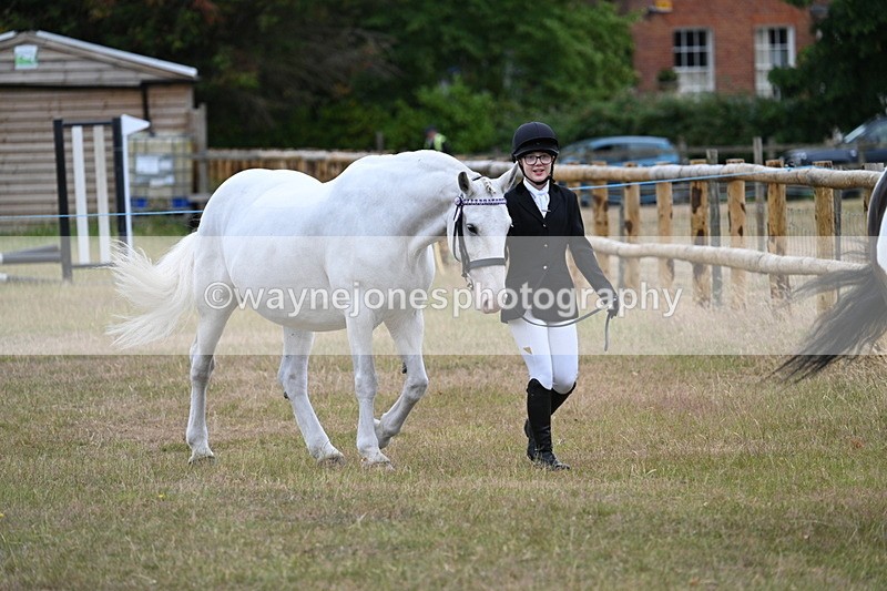 WJ7_9066 - Class 4a Prettiest Mare 14.2hh and over