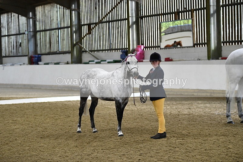 WJ5_3959 - Class 2 Best Condition In hand