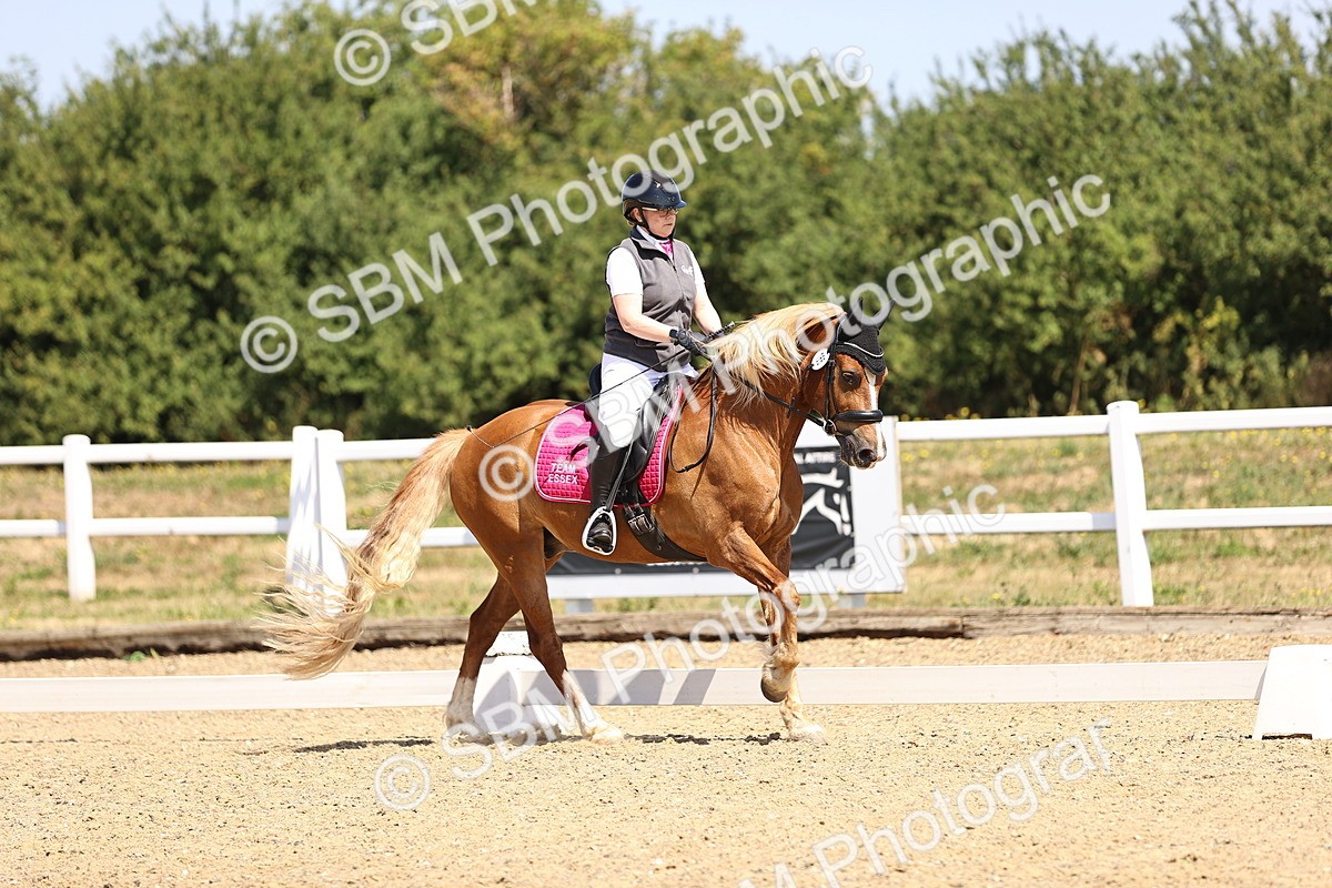 SBM_010398 - Novice 5 - 11.20-12.23