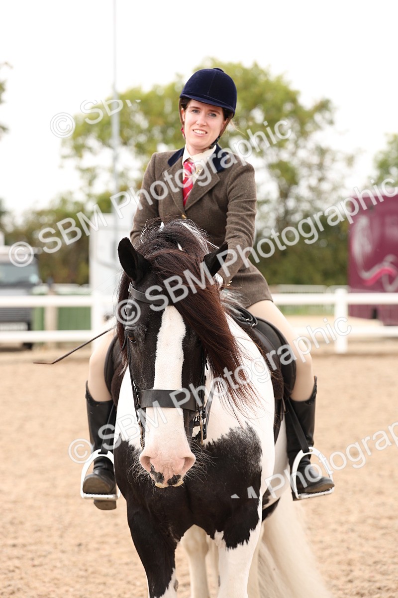 SBM_19746 - Class 216 - Ridden Traditional - Native Cob