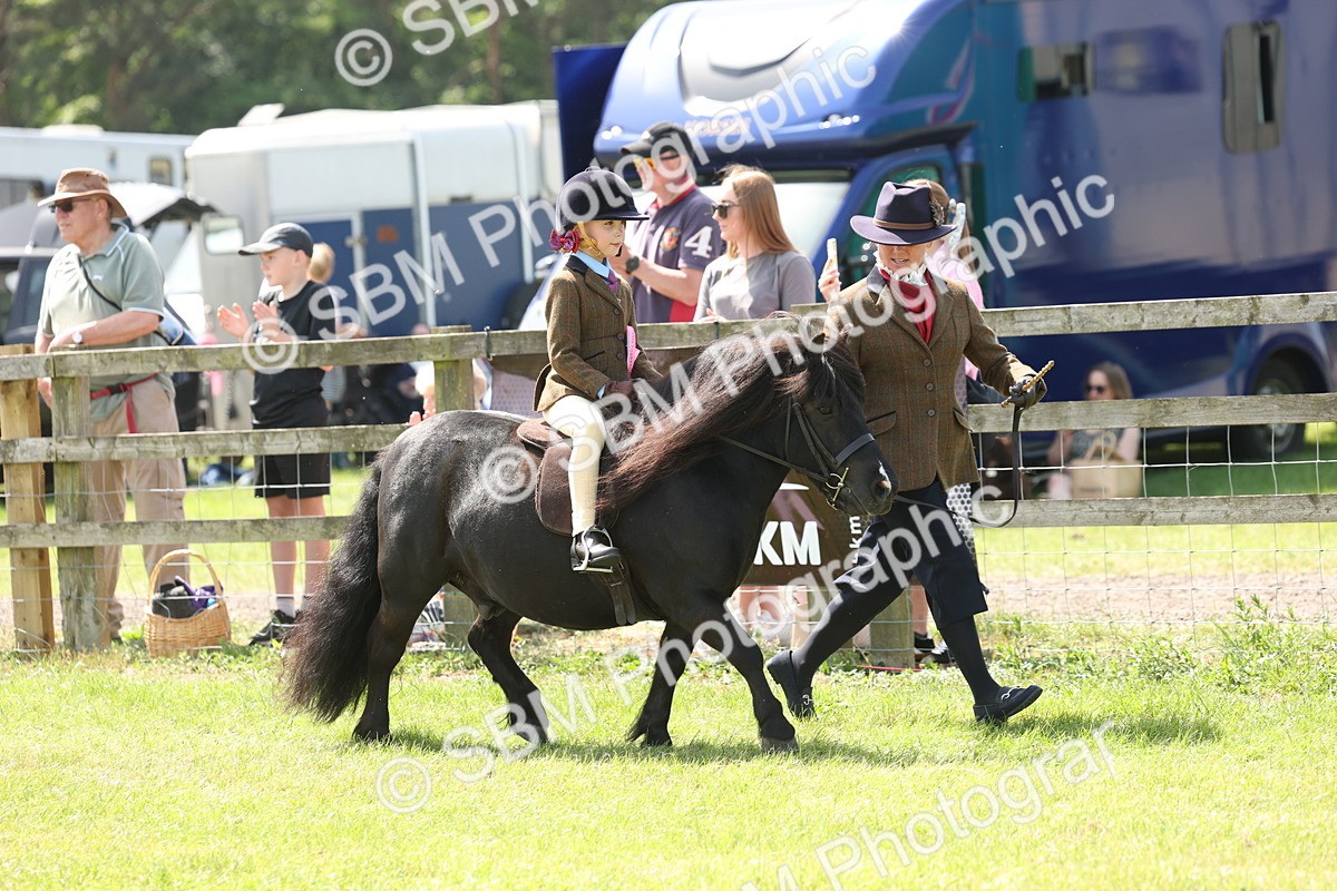 SBM_05309 - Class 24-25 - Mountain & Moorland In Hand Lead Rein and First Ridden