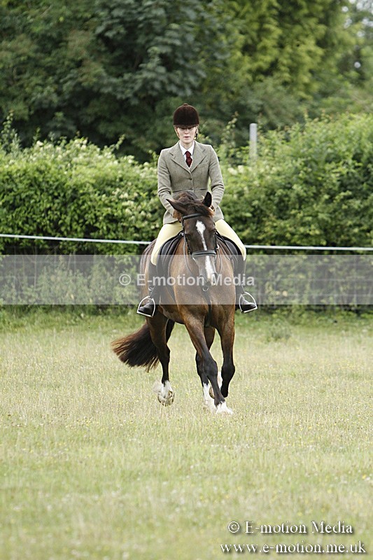 BVR160717-87 - Ring 3 BVRC Show 16/07/17