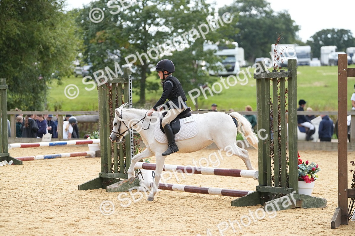 SBM_74699 - J4 - Mini Tour Junior Pony 45cm Championship