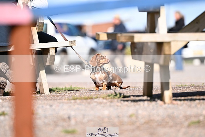 250911-154206-02072 - Cls 15 1.15m Amateur Champ