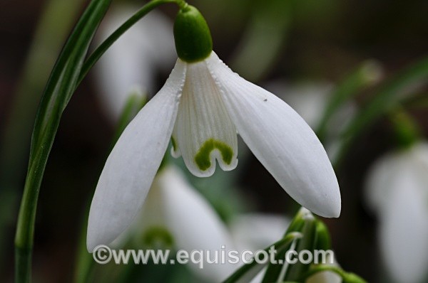  - Wildlife & Landscape