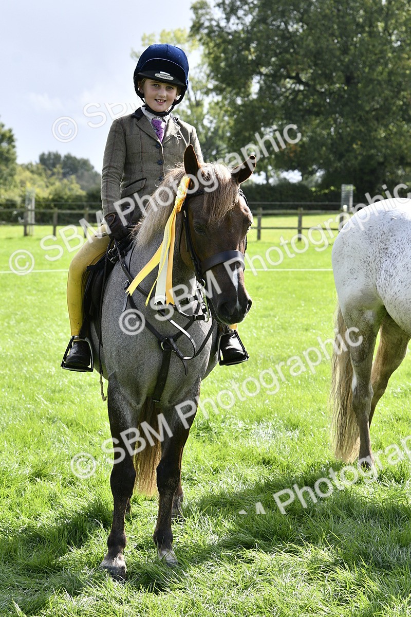 SBM_41665 - S32 - Mountain & Moorland Working Hunter Pony