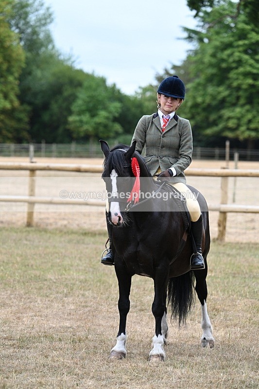 WJ7_0673 - Class 6 Ridden Mountain and Moorland