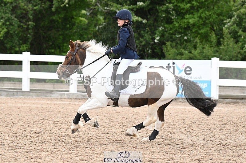 250504-141243-03515 - Cls 23 Stepping Stones