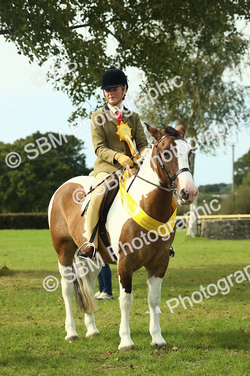SBM_68138 - S57 - Part Bred Pony Ridden