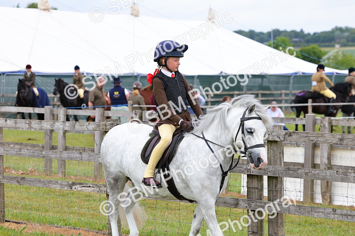 SBM_08458 - Class 42-43 - LIHS BSPS Heritage Working Sports Pony