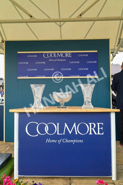 230824-Race 4-Bradsell-9059 - Race 4 3.35pm Coolmore Wootton Bassett Nunthorpe Stakes