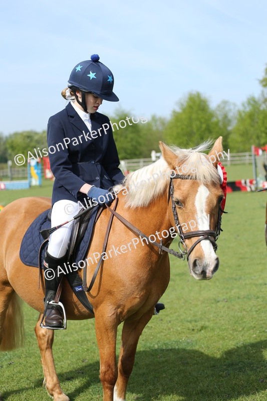 20260426-0250 - Class 13 - Rookie Jumping 50cm