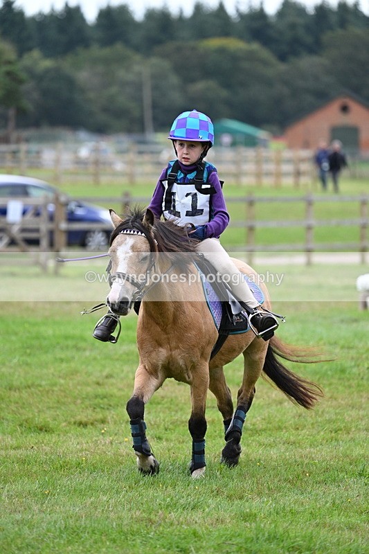 WJ7_7184 - 40cm Time 10:06 to 10:24