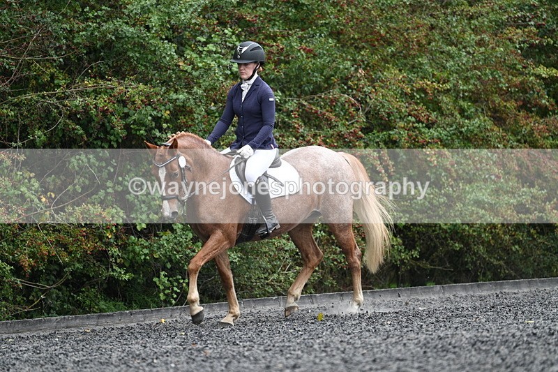 WJ7_3676 - Time 11:04 to 11:38