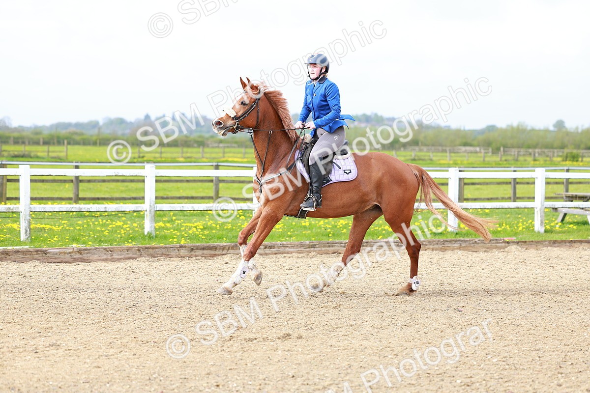 SBM_001690 - Class 7 - Clear Round
