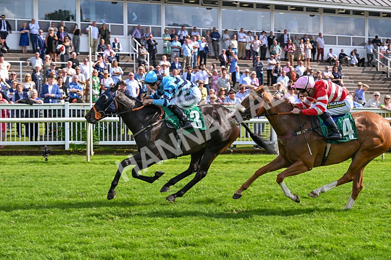 170724-Race 7-Yazaman-0576 - Race 7