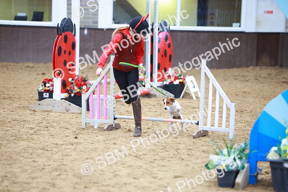 SBM_002104 - Class 3 - Horse & Hound (60cm)