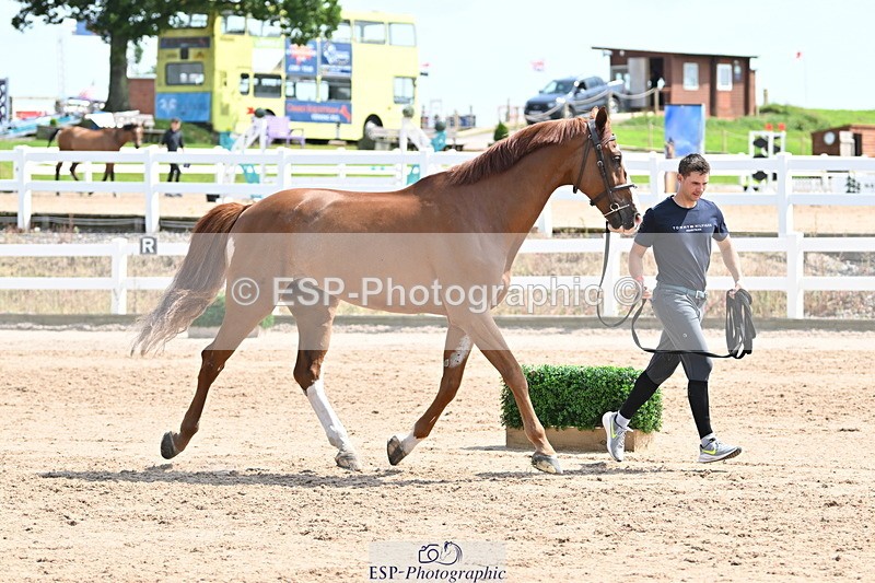 240717A-145851-02390 - Trot Up 2pm to 3pm - This folder is not in time order