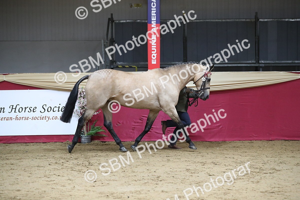 SBM_05013 - Class 8R- Regional -IH Veteran