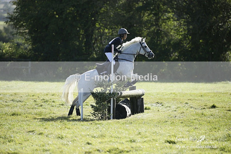  WWHT 031021 811 - WWEC Novice Restricted (0.80m) 18/10/20